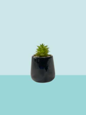 Mini Artificial Succulent Plant in Black Pot