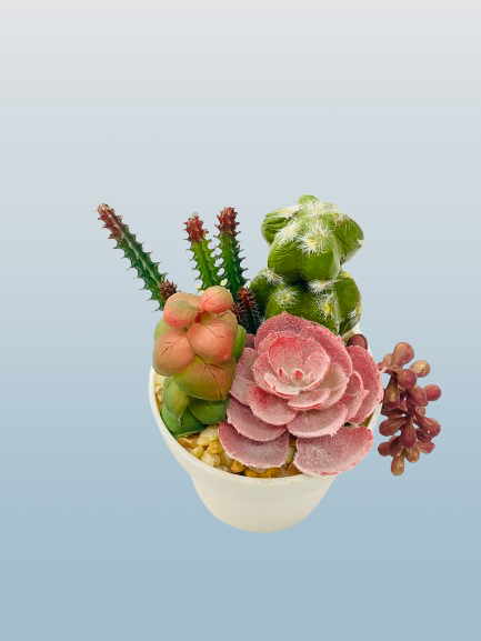 Artificial Cactus & Succulent Arrangement in White Pot - Image 2