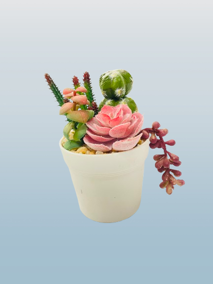 Artificial Cactus & Succulent Arrangement in White Pot